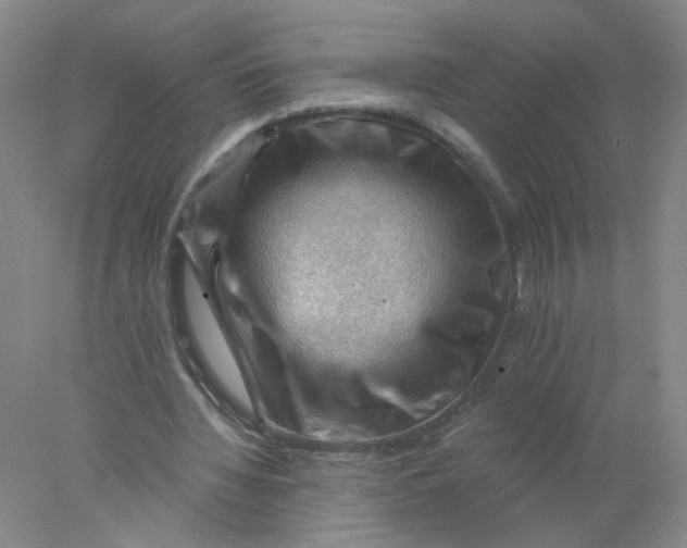 X0000078030436200611171943