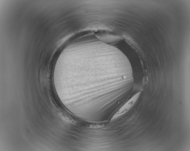 X0000078030440200611171943