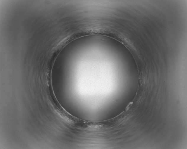 X0000078030450200611171943