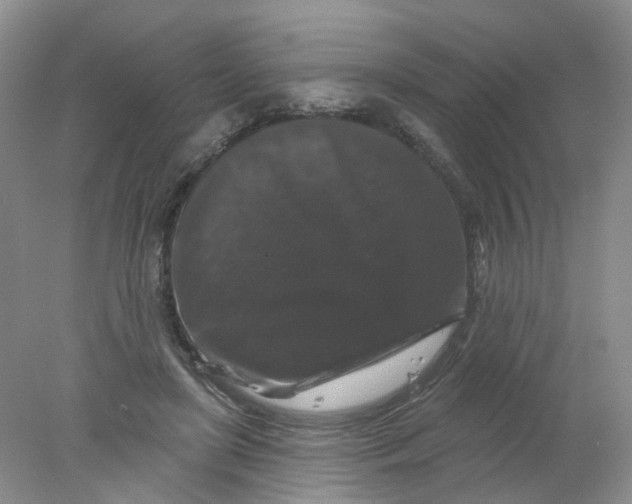 X0000078030451200611171943