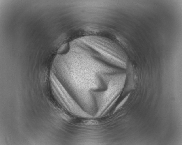 X0000078030463200611171943