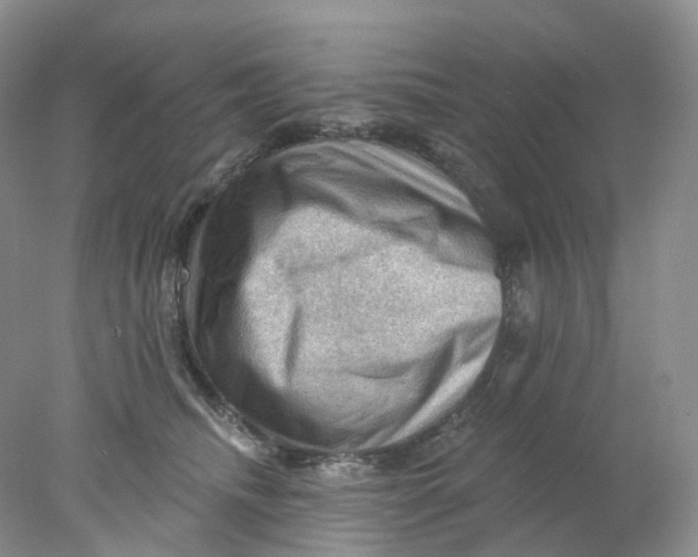 X0000078030468200611171943