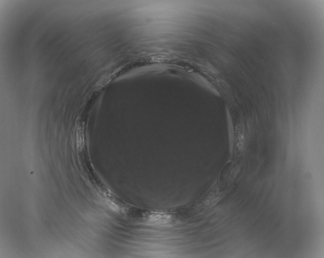 X0000078030471200611171943
