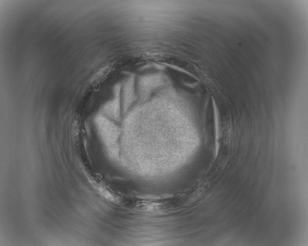 X0000078030472200611171943