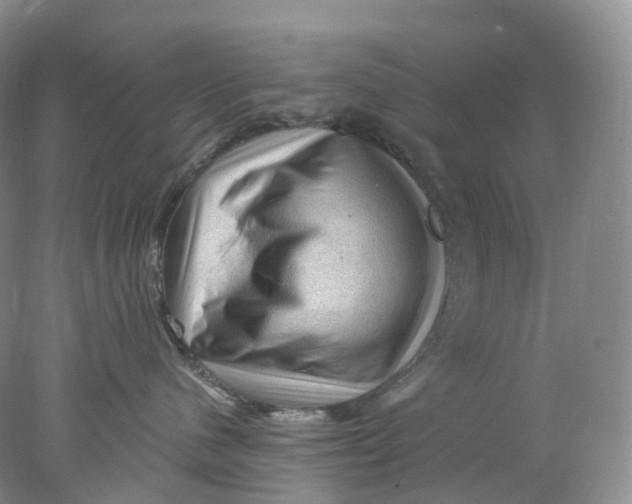 X0000078030480200611171943