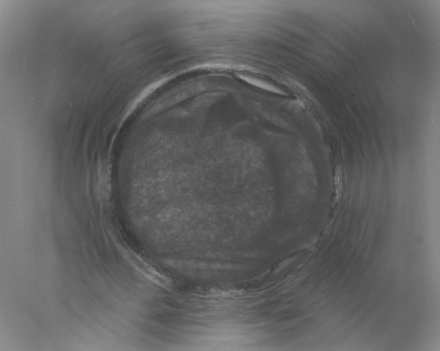 X0000078030484200611171943