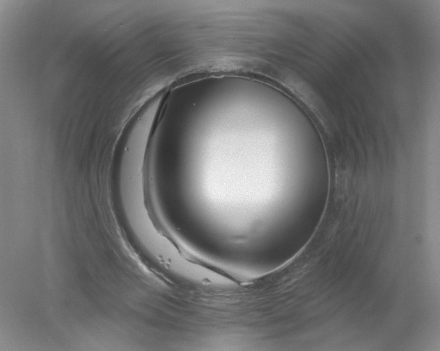 X0000078030485200611171943
