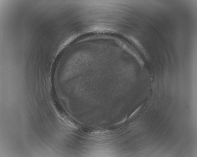 X0000078030488200611171943