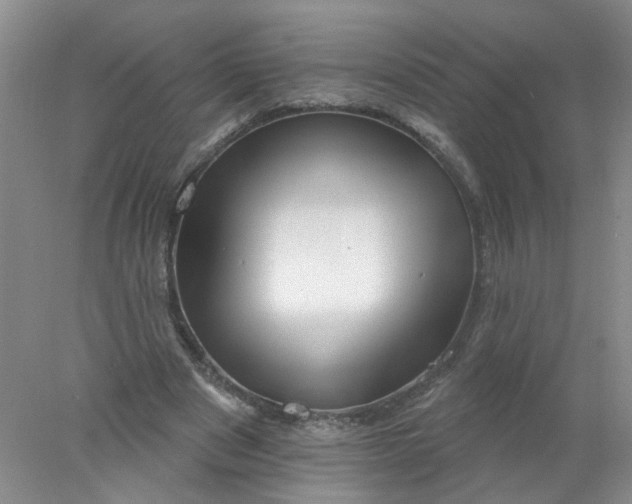 X0000078030489200611171943