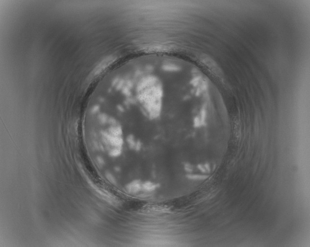 X0000078030491200611171942
