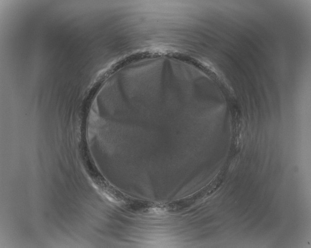 X0000078030496200611171942
