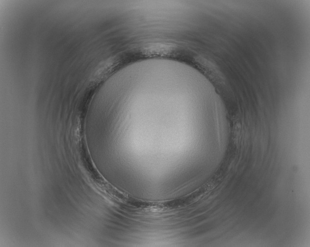 X0000078030498200611171942