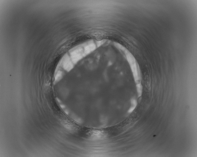 X0000078030507200611171942