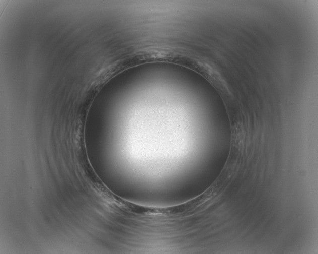 X0000078030509200611171942