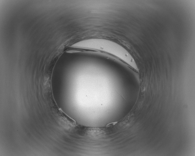 X0000078030521200611171942