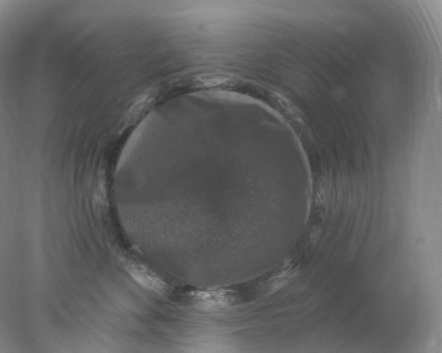 X0000078030524200611171942
