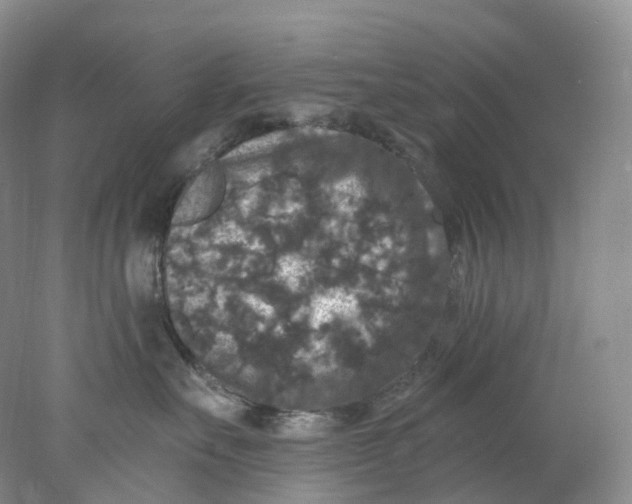 X0000078030527200611171942