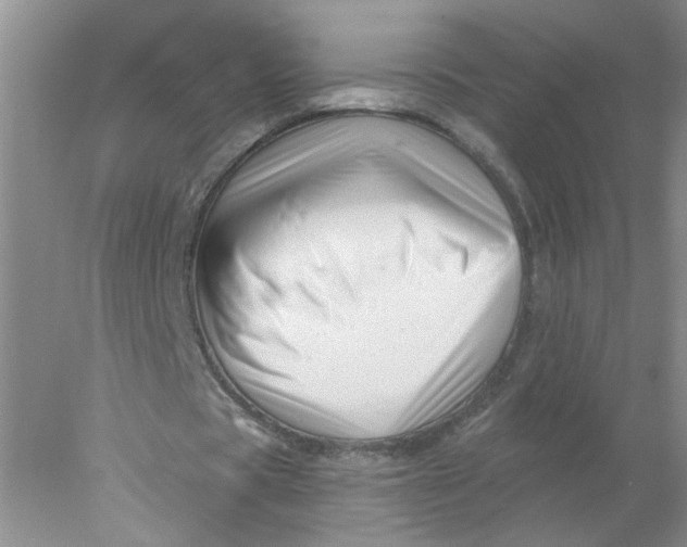 X0000078030529200611171941