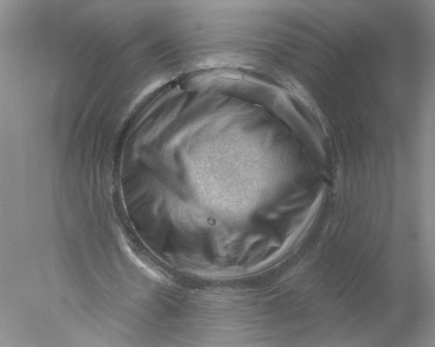 X0000078030530200611171941