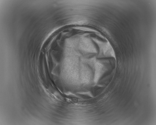 X0000078030532200611171941