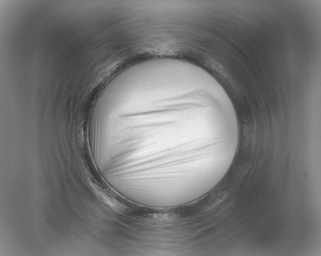 X0000078030541200611171941