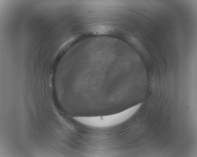 X0000078030543200611171941
