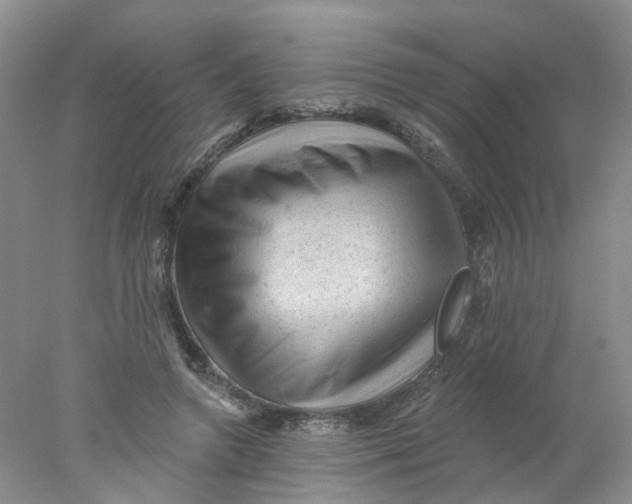 X0000078030546200611171941