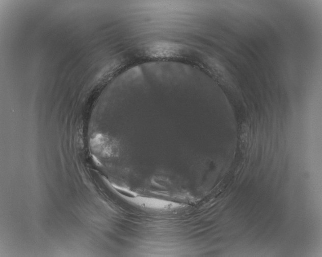 X0000078030547200611171941