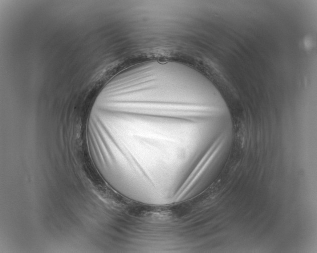X0000078030548200611171941