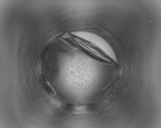 X0000078030560200611171942