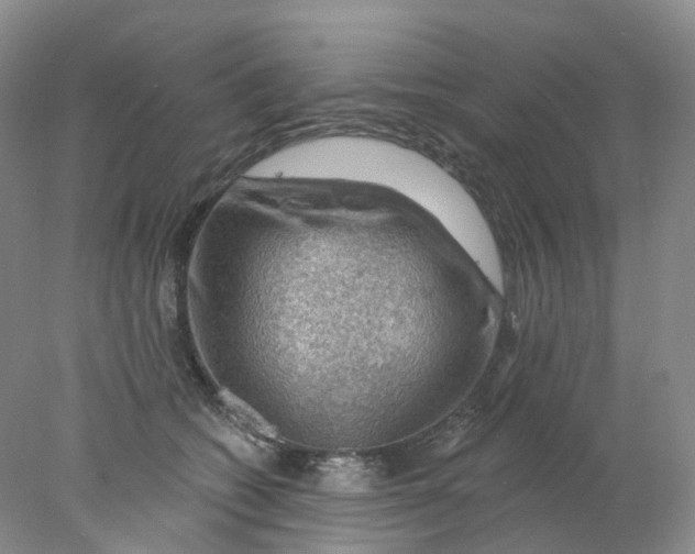 X0000078030562200611171942