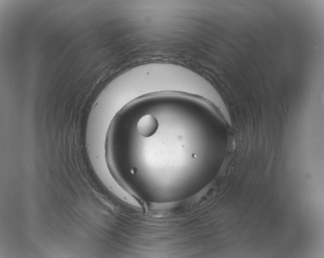 X0000078030564200611171942