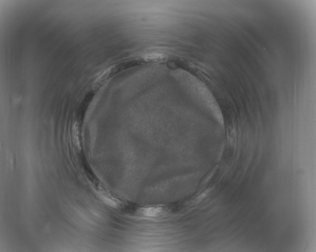 X0000078030575200611171942
