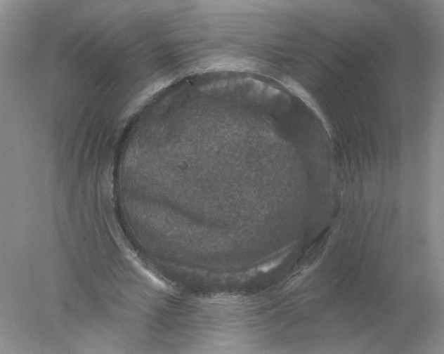 X0000078030581200611171941