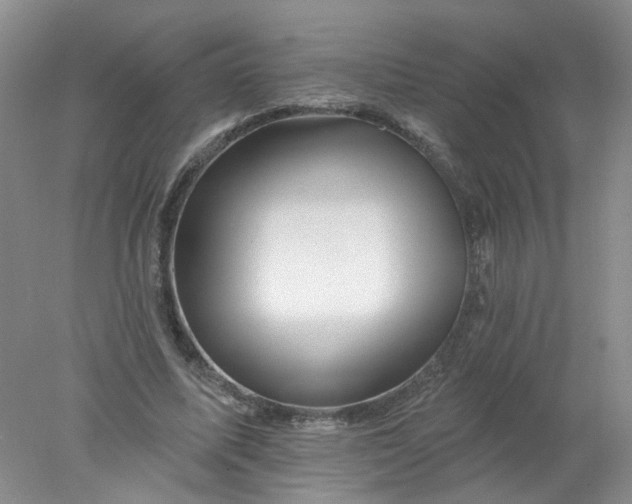 X0000078030587200611171941
