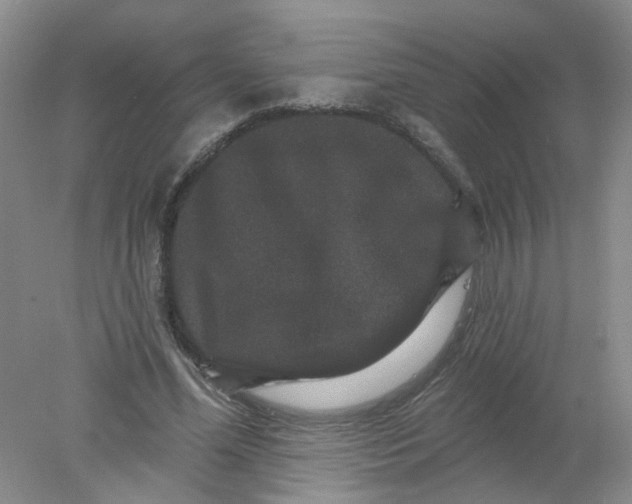 X0000078030588200611171941