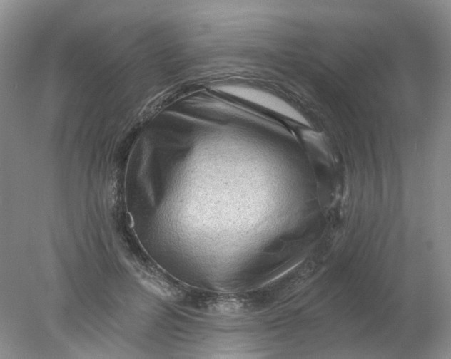 X0000078030600200611171941