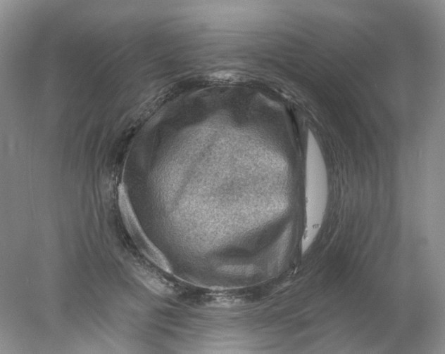 X0000078030601200611171941