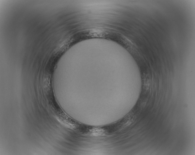 X0000078030603200611171941