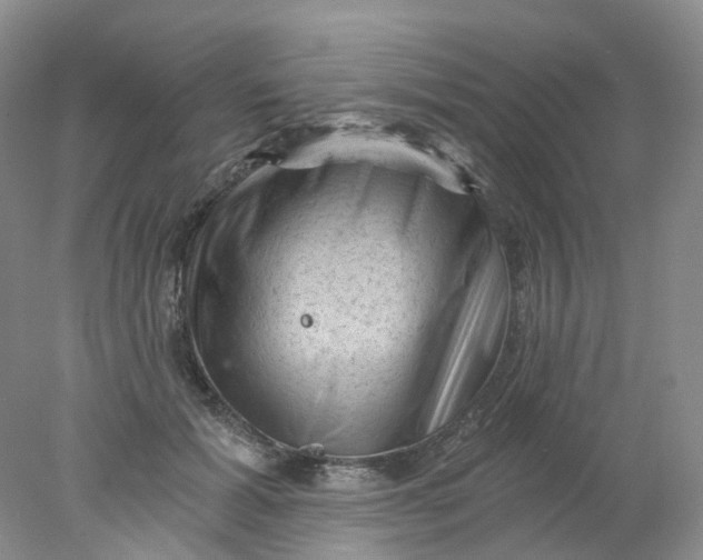 X0000078030605200611171941