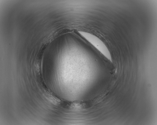 X0000078030613200611171940