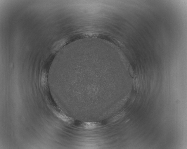 X0000078030623200611171940