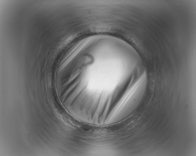 X0000078030631200611171940