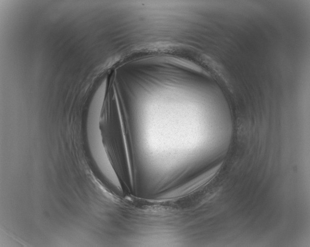 X0000078030633200611171940