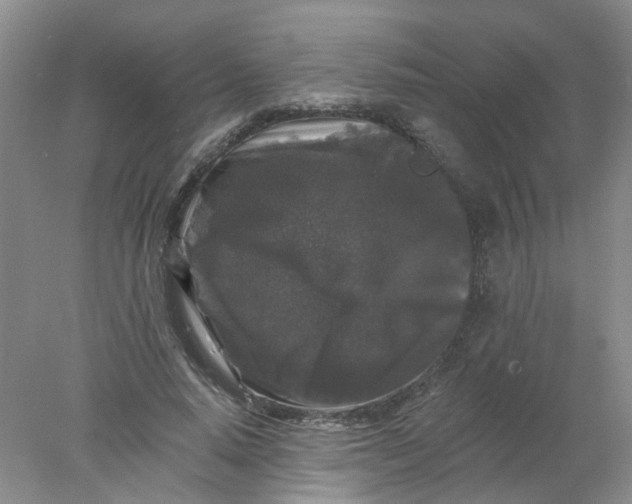 X0000078030640200611171940