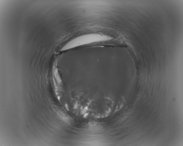 X0000078030641200611171940