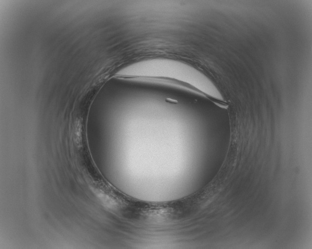 X0000078030646200611171940