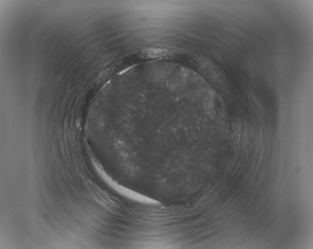 X0000078030653200611171940