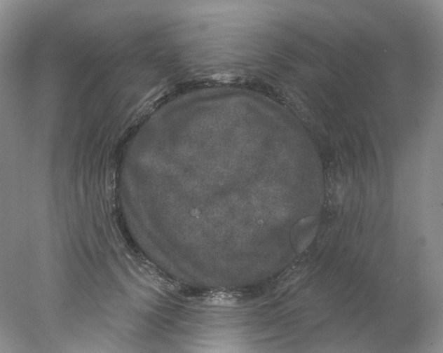 X0000078030656200611171940
