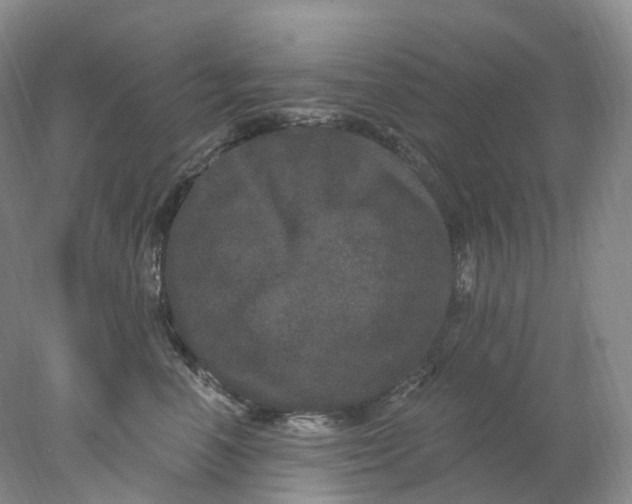 X0000078030666200611171940